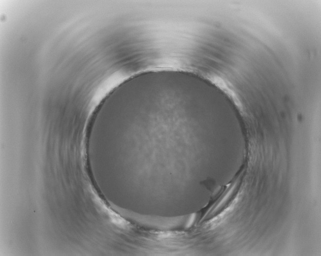 X0000088431469200705291513