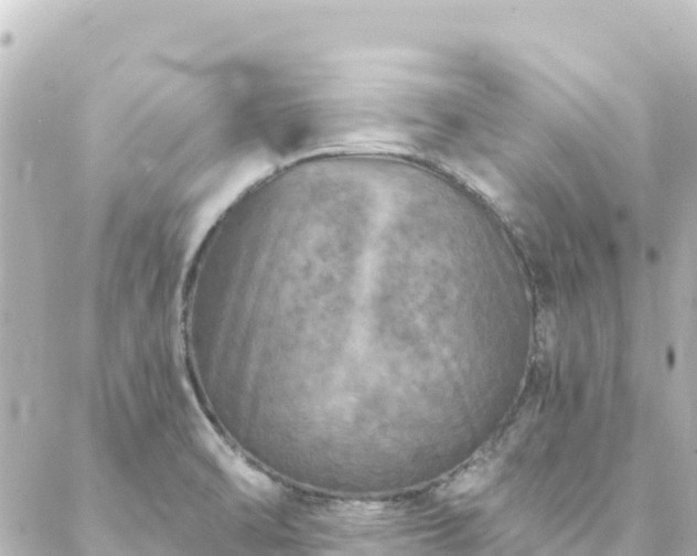 X0000088431470200705291513