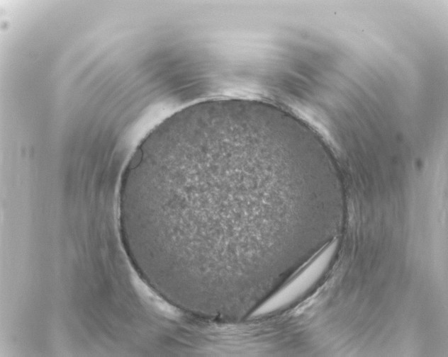 X0000088431471200705291513