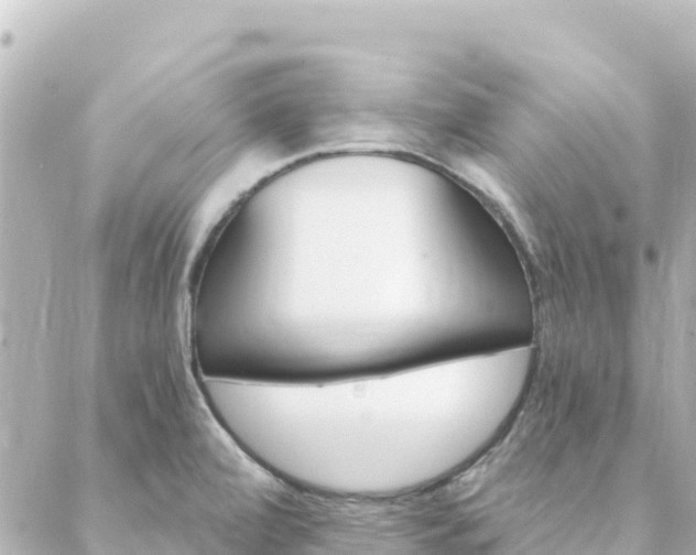 X0000088431472200705291513