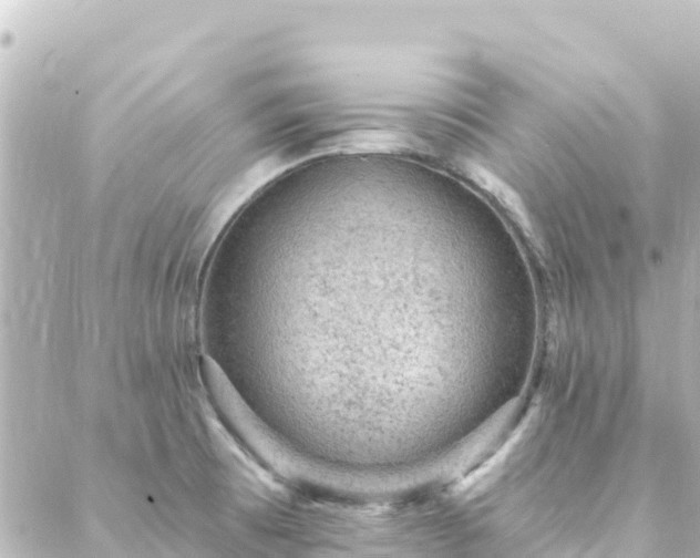 X0000088431473200705291513