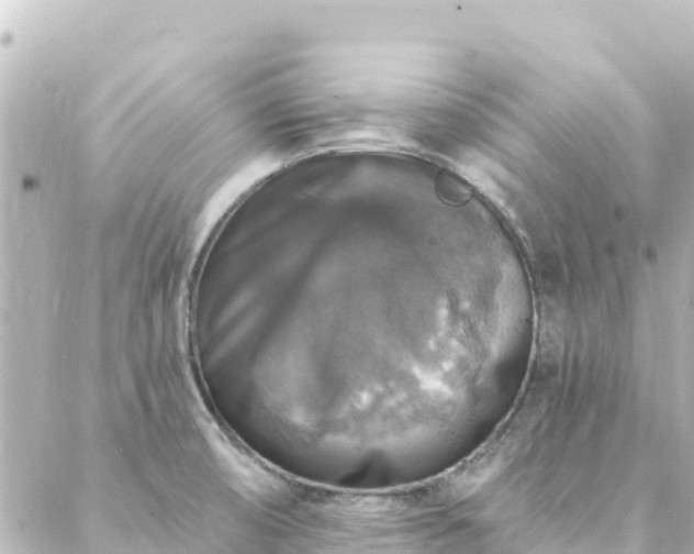 X0000088431474200705291513