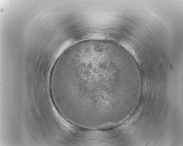 X0000088431475200705291513