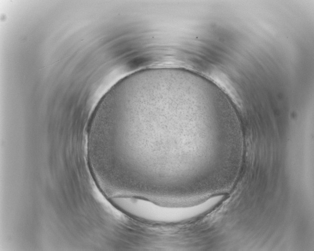 X0000088431476200705291512