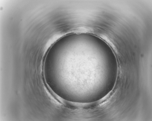 X0000088431477200705291512