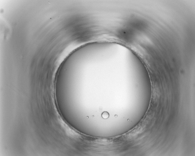 X0000088431478200705291512