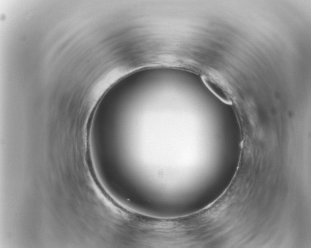 X0000088431479200705291512