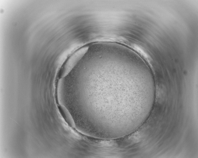 X0000088431480200705291512