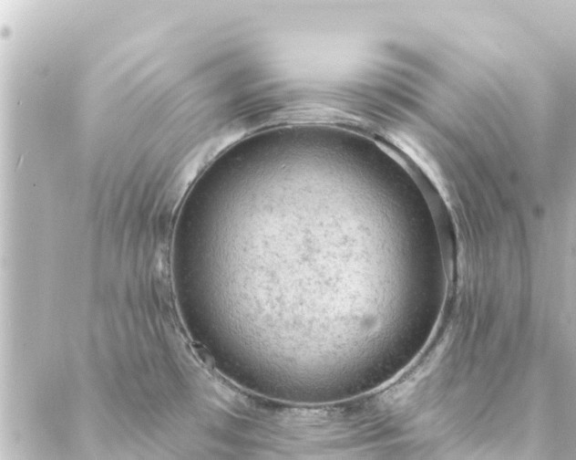 X0000088431481200705291512