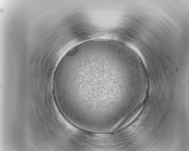 X0000088431483200705291512