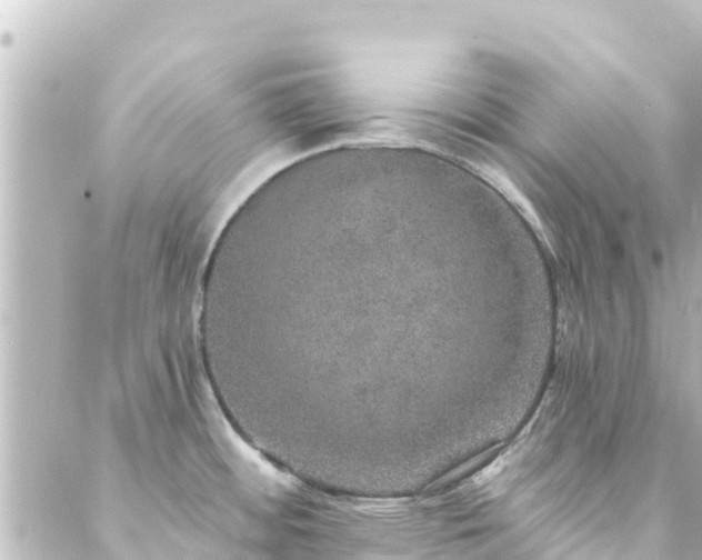 X0000088431484200705291512