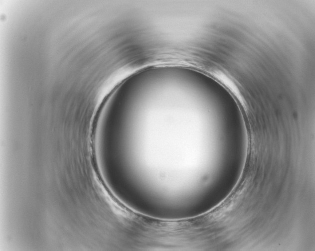 X0000088431485200705291512