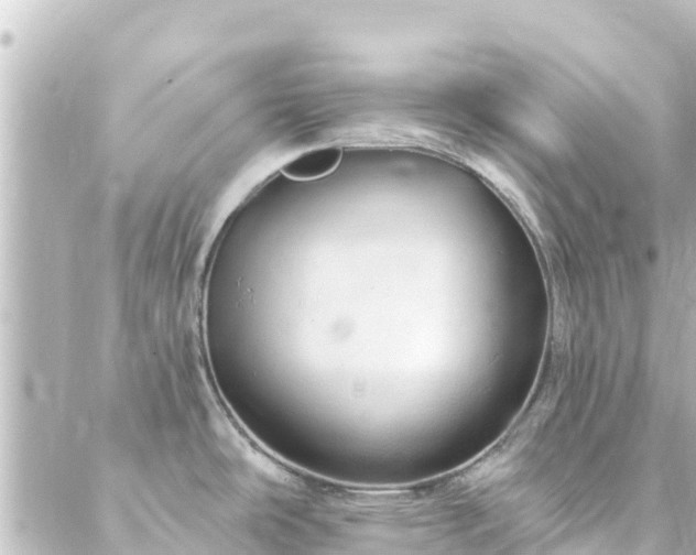 X0000088431486200705291512