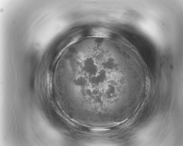 X0000088431487200705291512