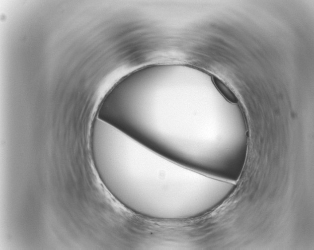 X0000088431488200705291512