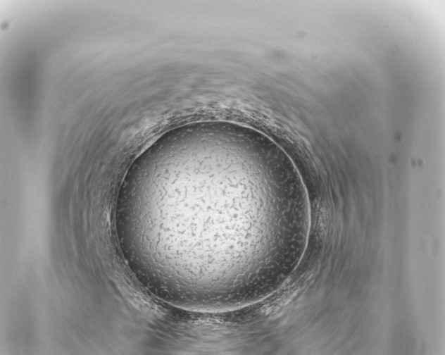 X0000088431489200705291512