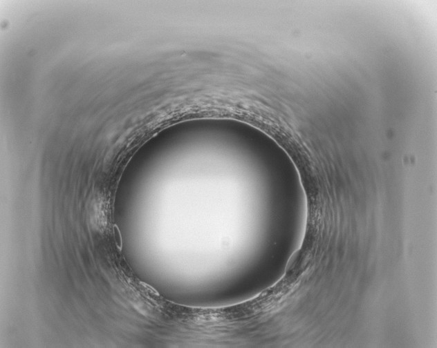 X0000088431490200705291512