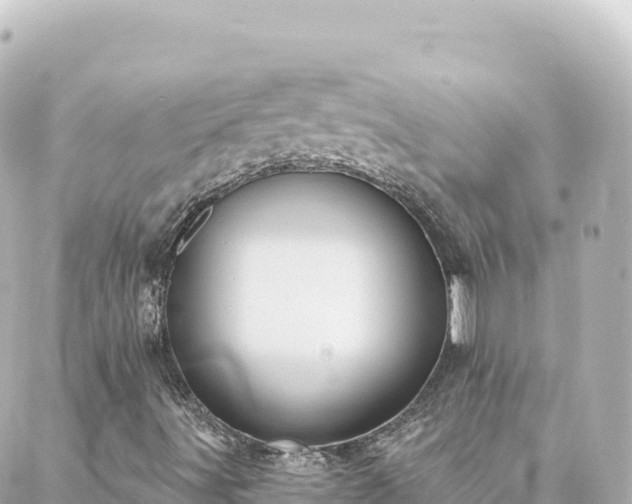 X0000088431491200705291512