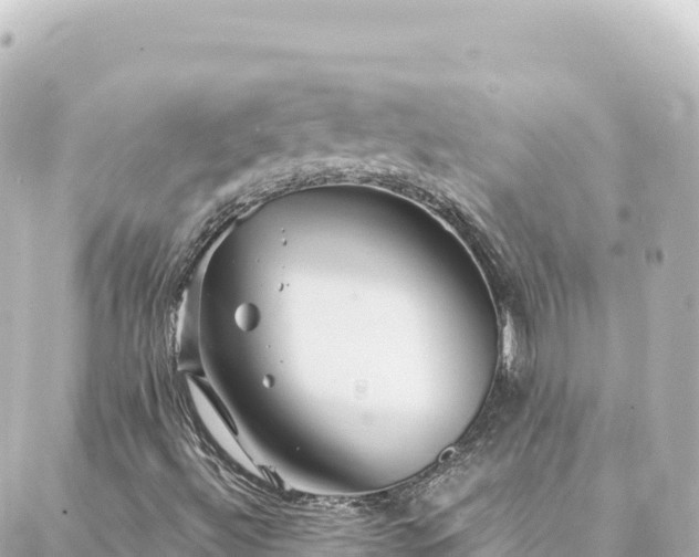 X0000088431492200705291512