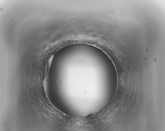 X0000088431493200705291512