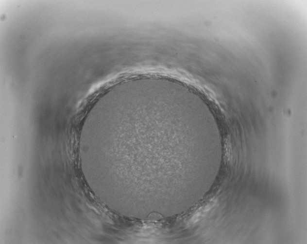 X0000088431494200705291512