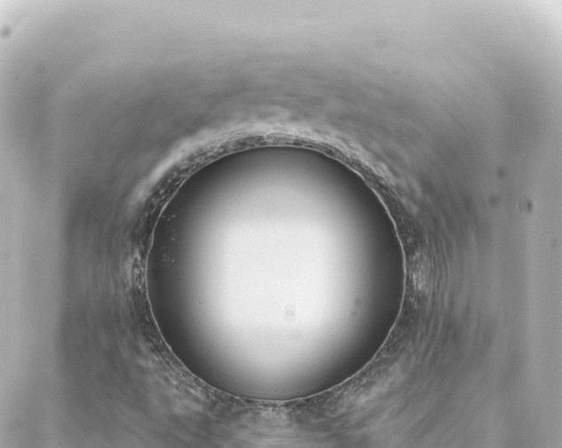 X0000088431495200705291512