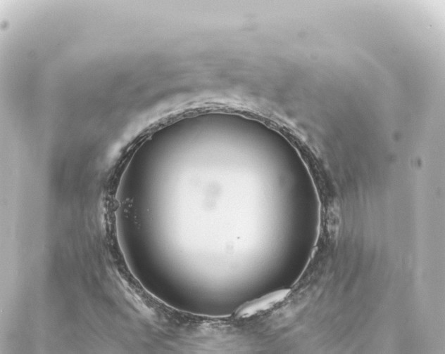 X0000088431496200705291512