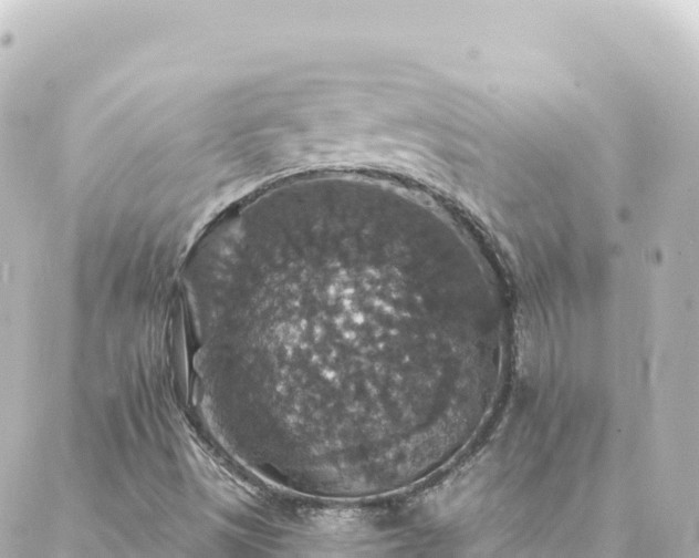 X0000088431497200705291512