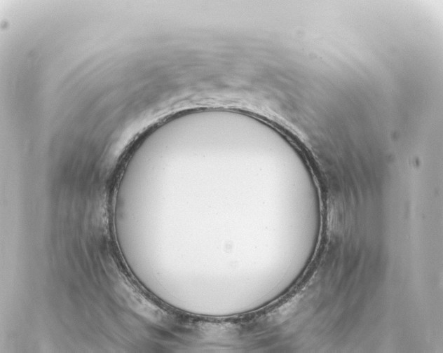 X0000088431498200705291512