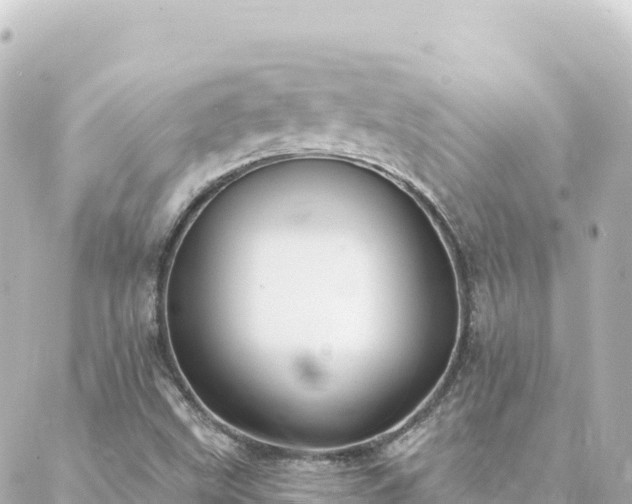 X0000088431499200705291512