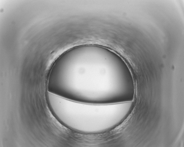 X0000088431500200705291512