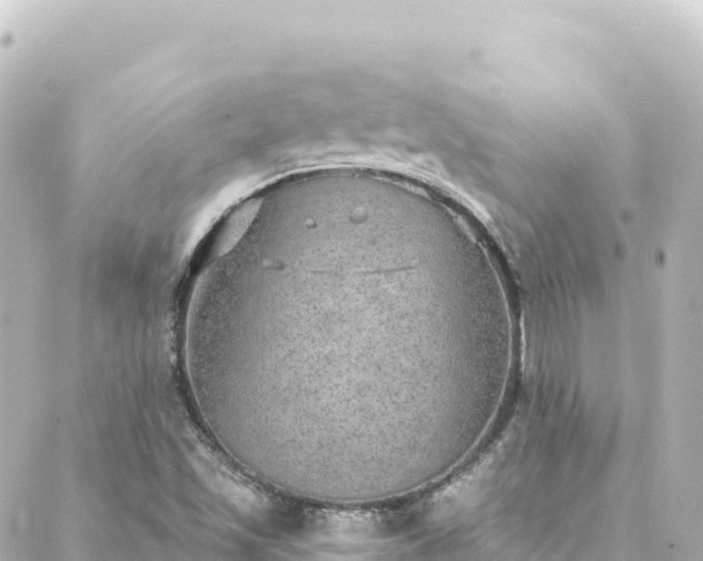 X0000088431501200705291512