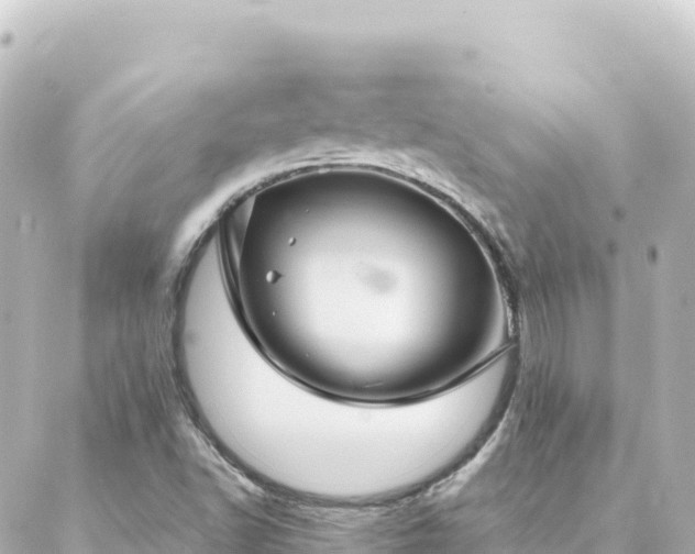 X0000088431502200705291512