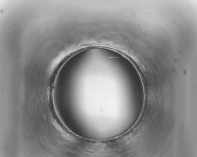 X0000088431503200705291512