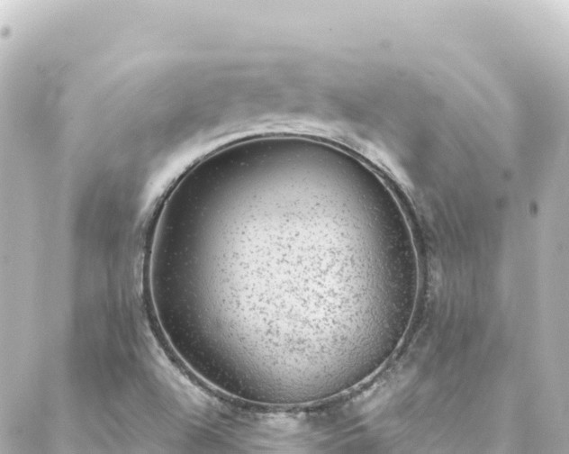 X0000088431504200705291512