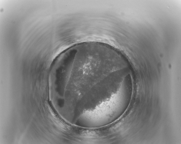 X0000088431505200705291512