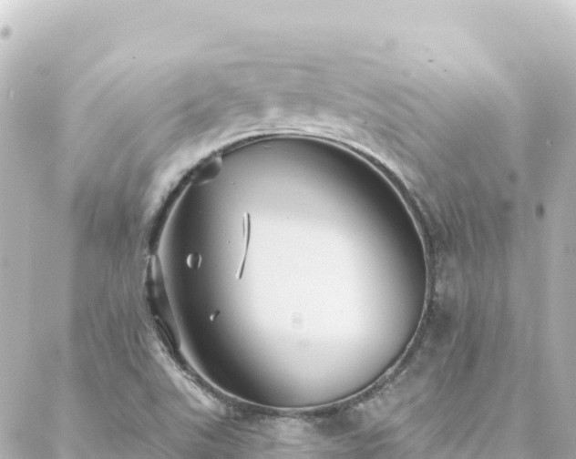 X0000088431507200705291512