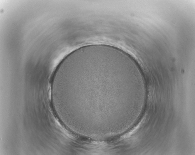 X0000088431509200705291512