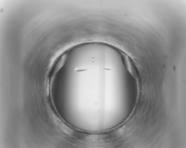 X0000088431510200705291512