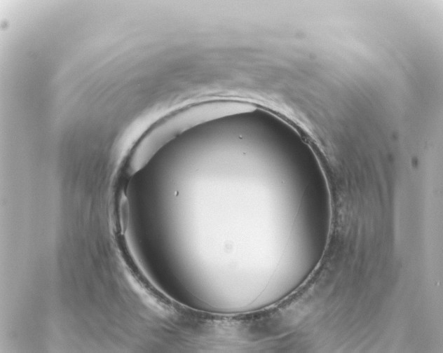 X0000088431511200705291512