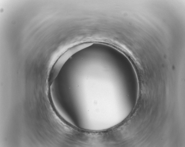 X0000088431512200705291512