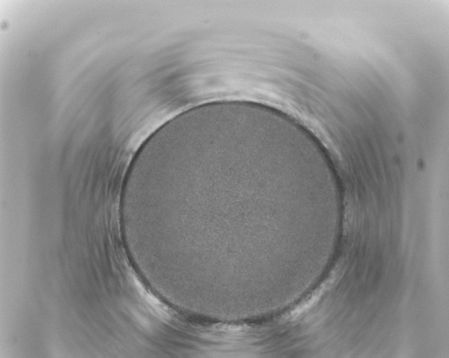 X0000088431513200705291512