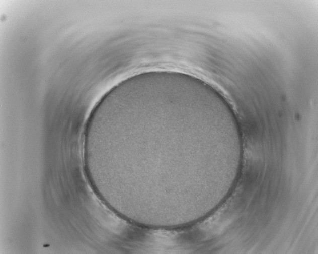 X0000088431514200705291512