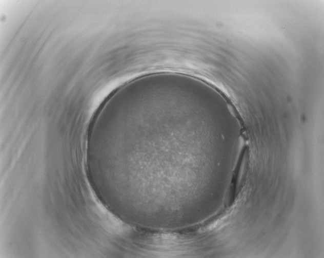 X0000088431515200705291512