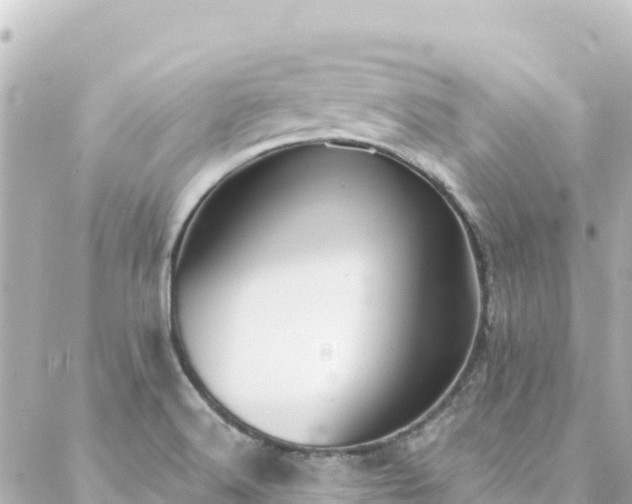 X0000088431516200705291512