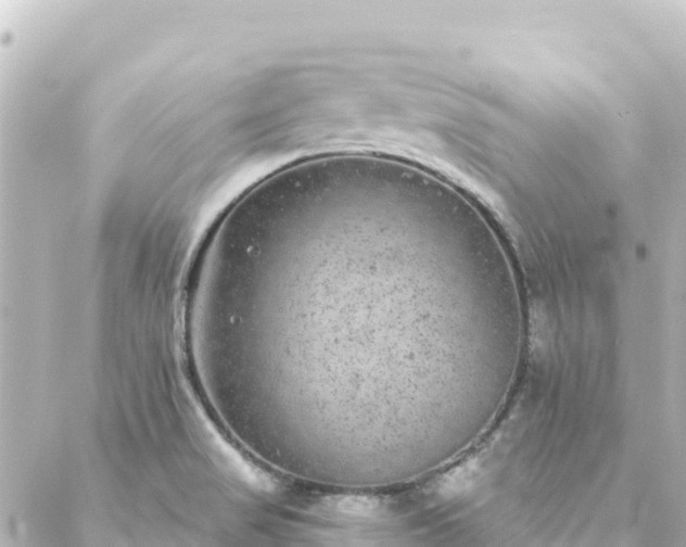 X0000088431517200705291512