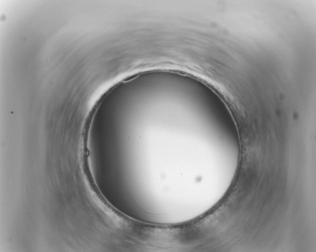 X0000088431518200705291512