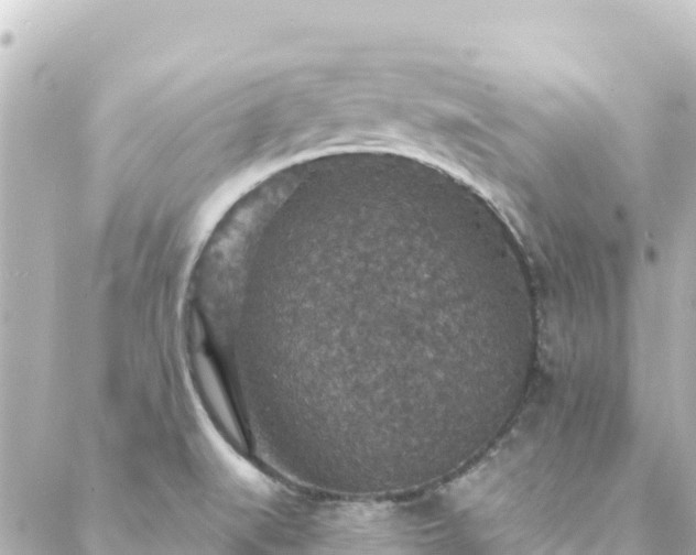 X0000088431519200705291512