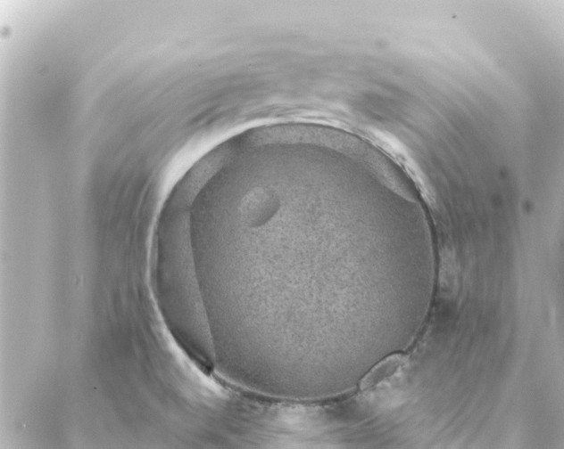 X0000088431520200705291512