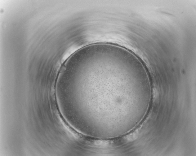 X0000088431521200705291512